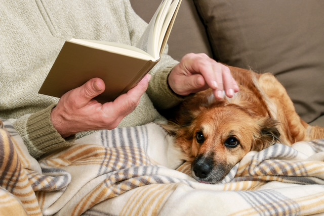 Old man sitting on the sofa with his lovely dog and book. Relax time