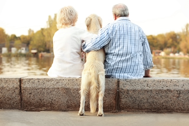 Senior couple sitting back on bund