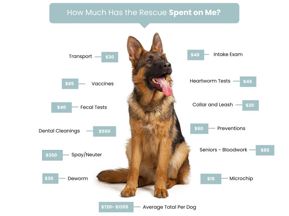 For Good Rescue Fee Graphic