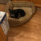 Tucker