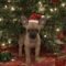 Tinsel