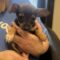 Asti