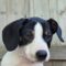 Fiyero